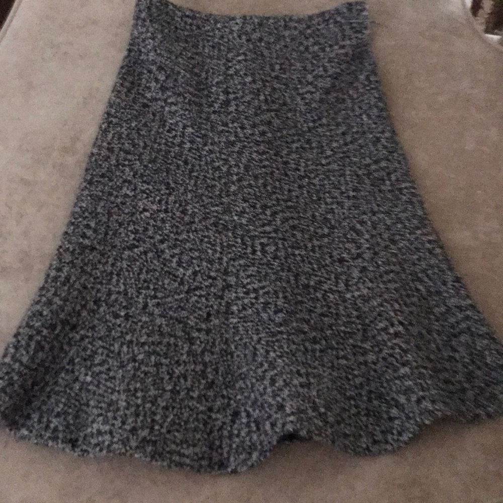 Zara Basic Wool A-line Pendulum Panel Skirt